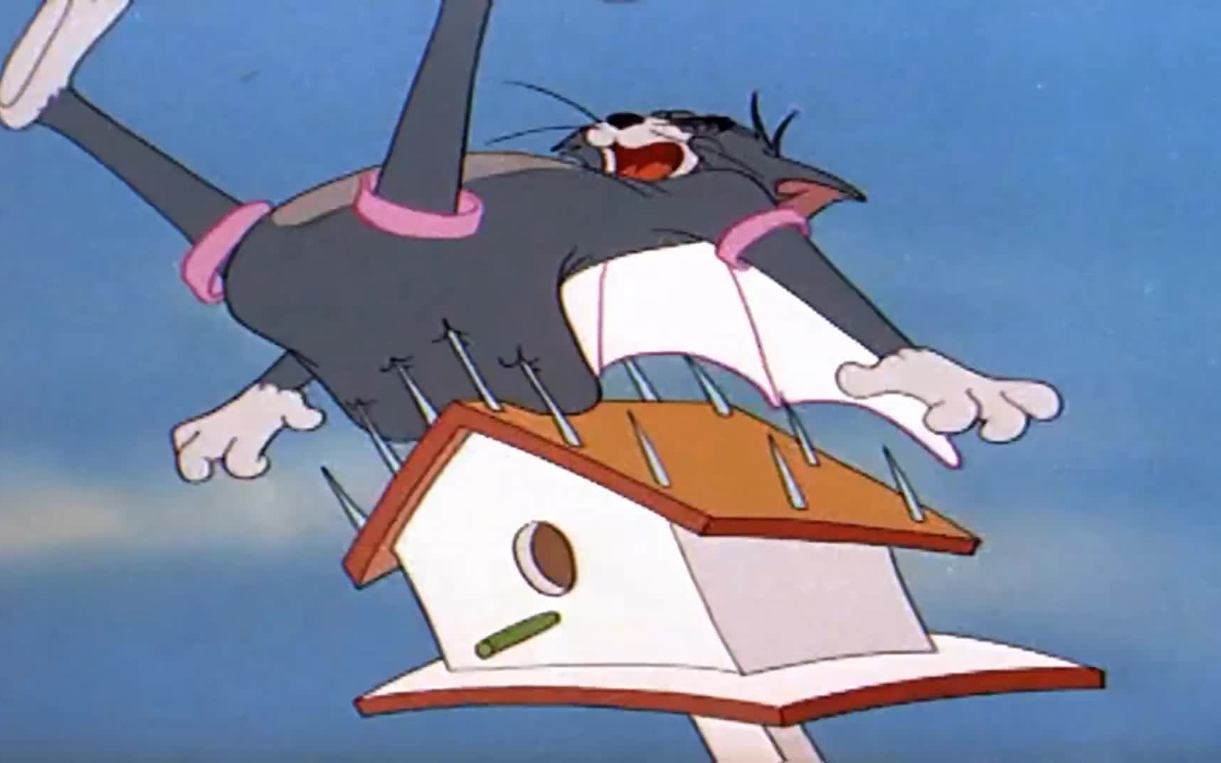 倒放猫和老鼠"蛋疼的汤姆"_哔哩哔哩 (゜-゜)つロ 干杯~-bilibili