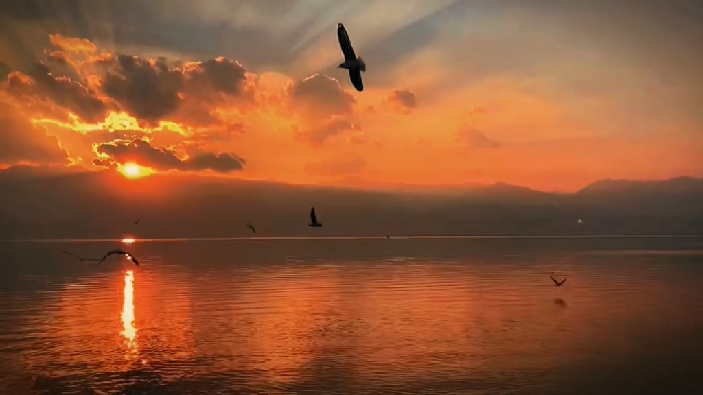 大理洱海的日落