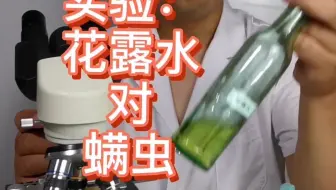 青花椒提取液对螨虫有抑制作用吗 细菌哥带你做试验 哔哩哔哩 Bilibili