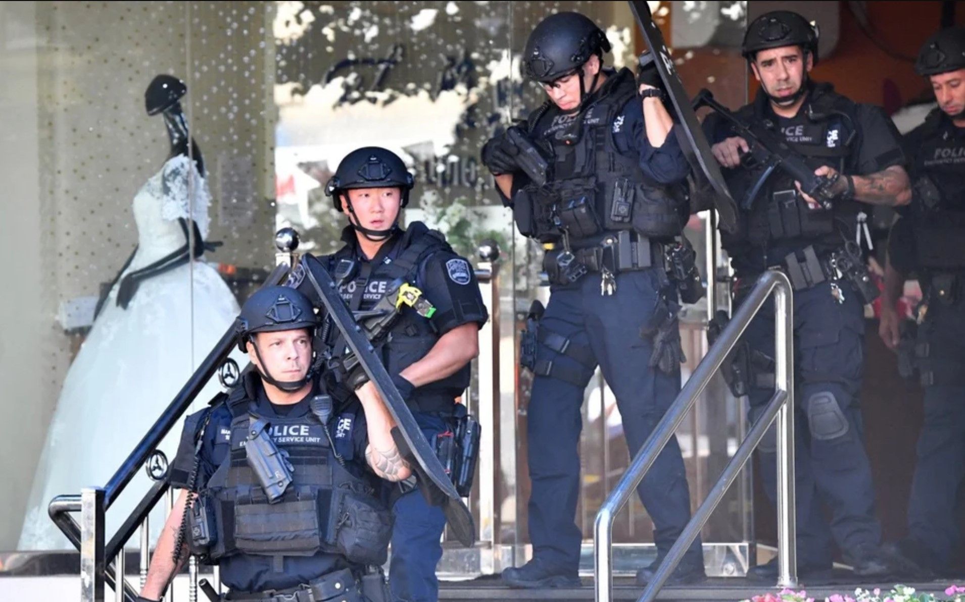 doorkickers破门而入 nypd esu反应紧急事件 crossfire brunch