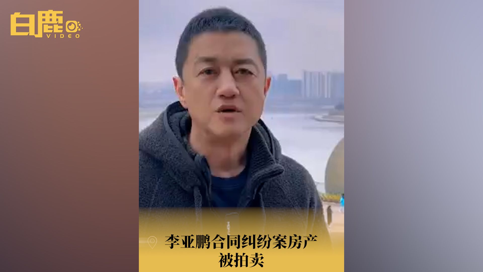 李亚鹏合同纠纷案房产被拍卖哔哩哔哩bilibili