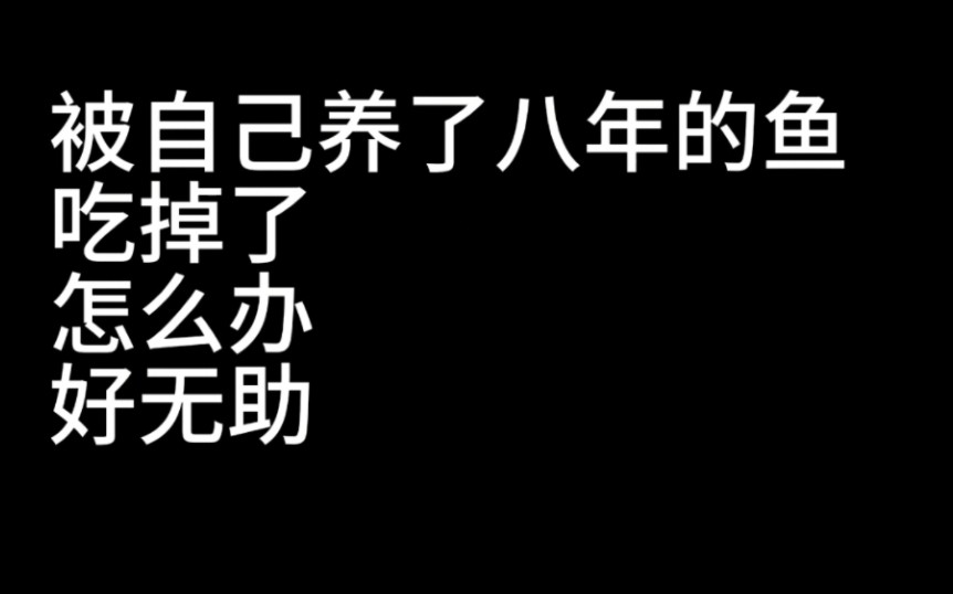 [图]鱼：青春没有售价，今天尝尝我妈