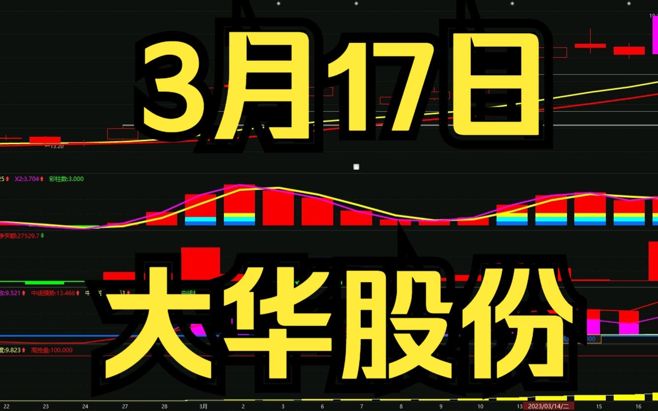 3.17大华股份:回踩反弹强势拉伸,如何判断低吸高抛?哔哩哔哩bilibili