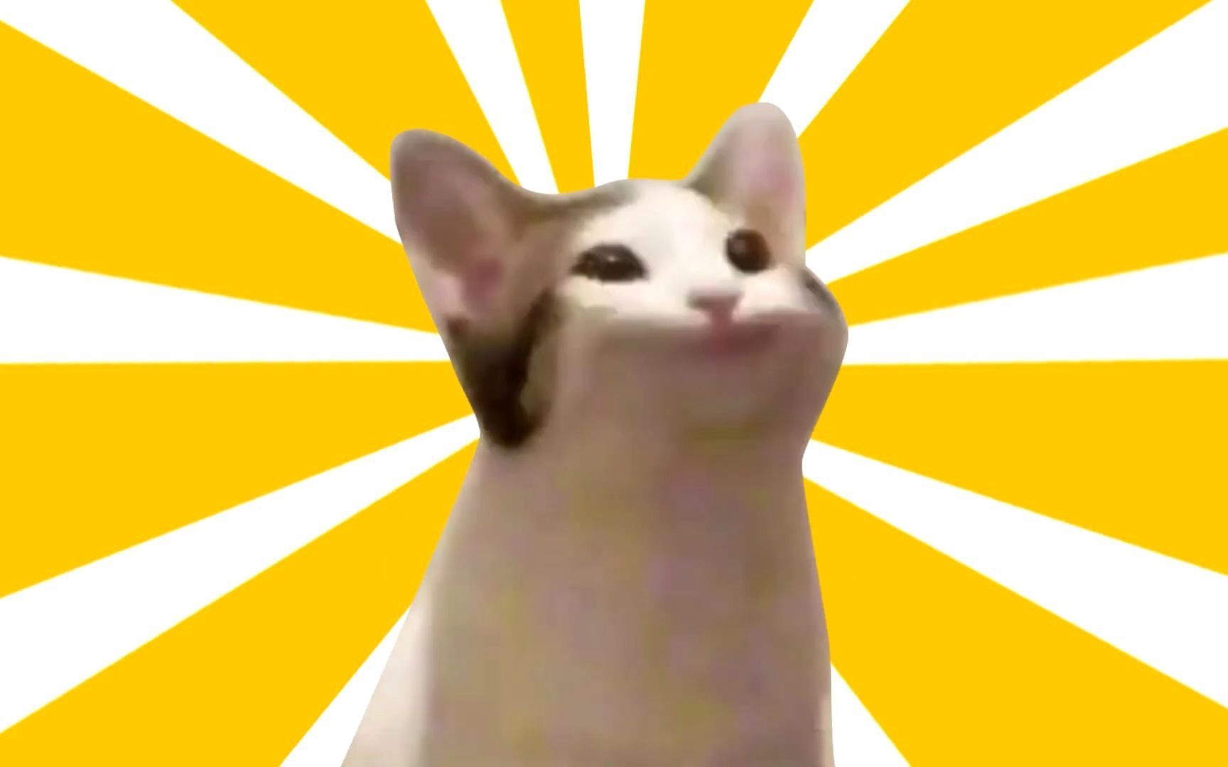 pop猫原版表情包图片