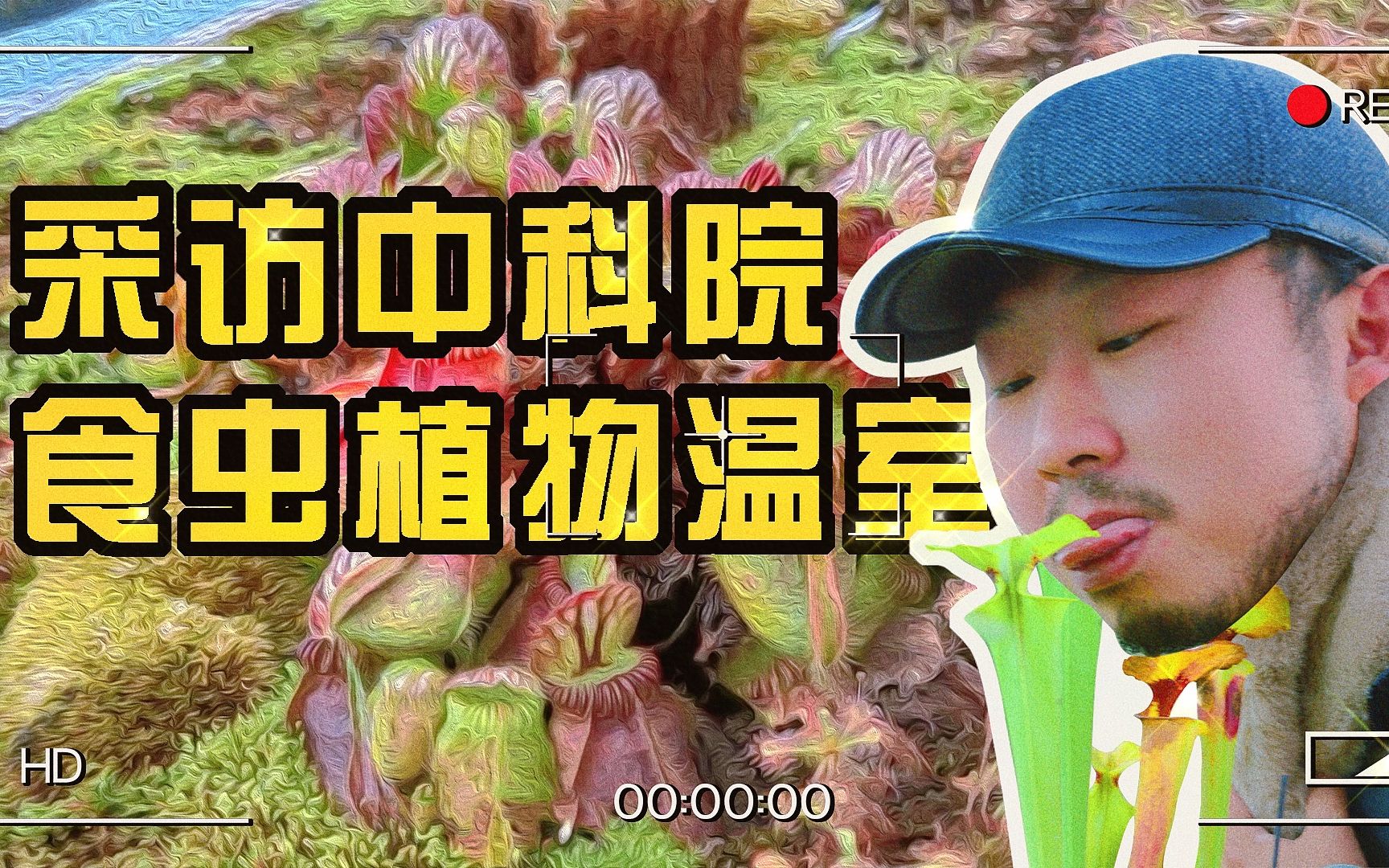 [图]舔了一口中科院的食虫植物，竟然是这个味儿的？