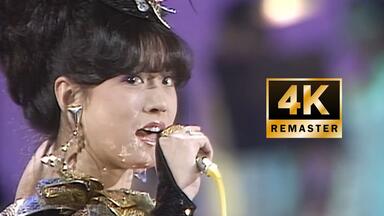 中森明菜　 2009 Empress at Yokohama Akina Nakamori Special Live 2009 Empress at Yokohama : 中森