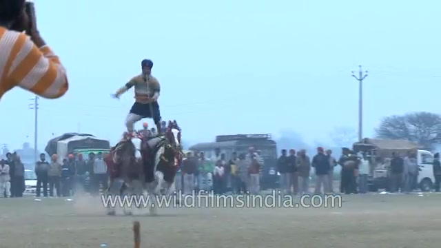 [图]锡克骑兵 Sikh warriors ride horses with iron spears and swords