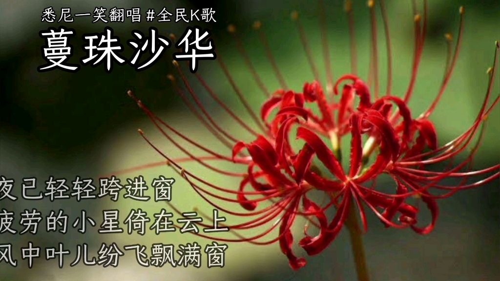 [图]《蔓珠沙华》悉尼一笑翻唱 #梅艳芳 #YOUTUBE