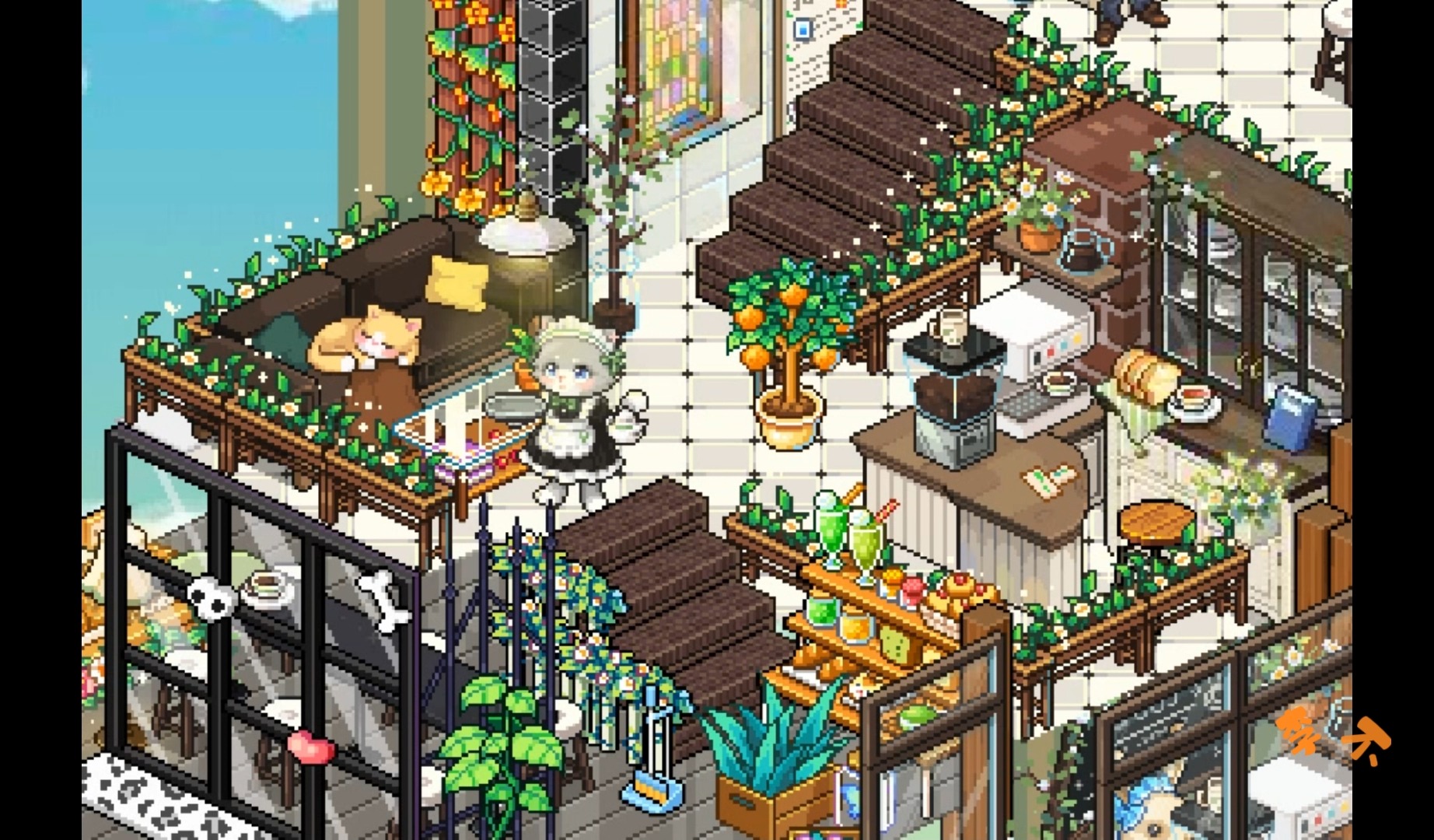 【皮卡堂】猫咪咖啡馆