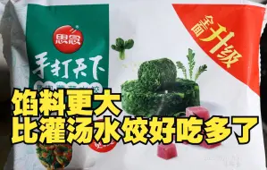 Télécharger la video: 思念手打天下水饺。比灌汤水饺好吃多了。猪肉荠菜馅水饺