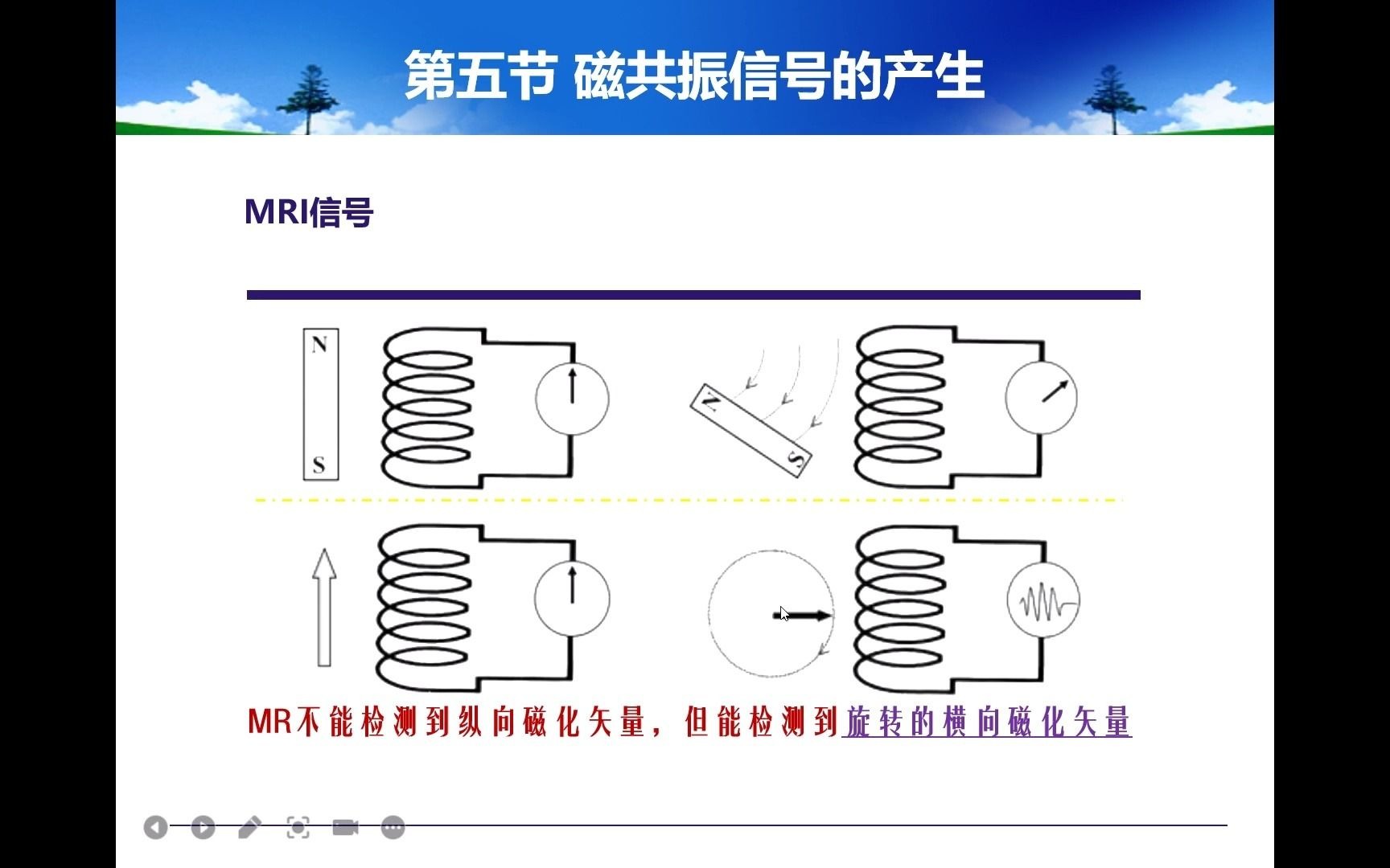 MR成像技术第一章物理学基础5 MR信号产生哔哩哔哩bilibili