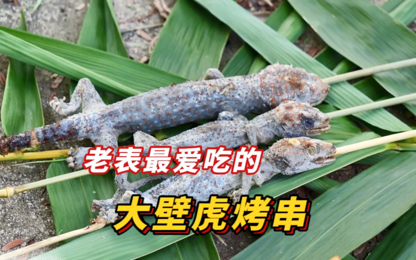 老表最爱吃的"大壁虎烤串"