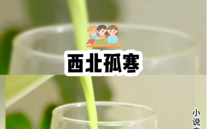 西北孤寒友情提示:观看前请备好纸巾哔哩哔哩bilibili