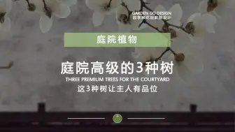 Download Video: 这3种树能让你的庭院品位高，寓意好