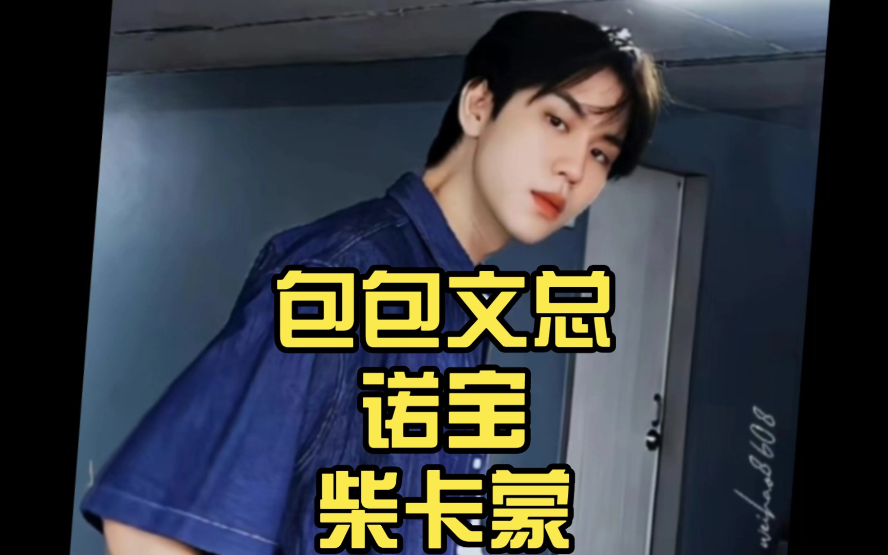 包包文总诺宝柴卡蒙