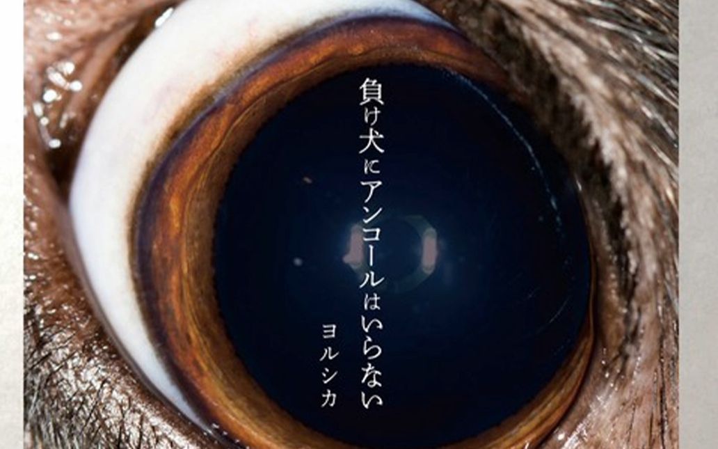 yorushika(ヨルシカ)——《負け犬にアンコールはいらない》专辑,夜鹿
