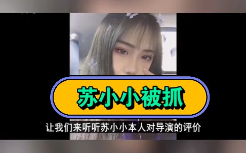 苏小小被抓了,最终落网哔哩哔哩bilibili