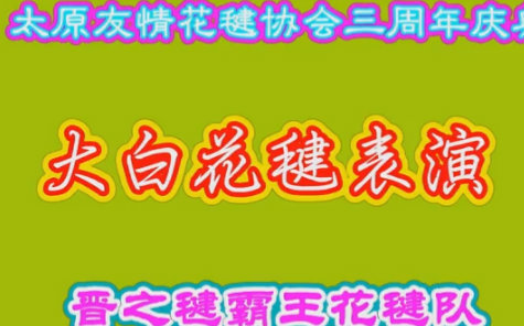 花毽欣赏晋之毽霸王队大白花毽表演标清哔哩哔哩bilibili