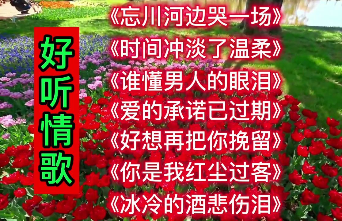 《忘川河边哭一场》《时间冲淡了温柔》《谁懂男人的眼泪》《爱的承诺