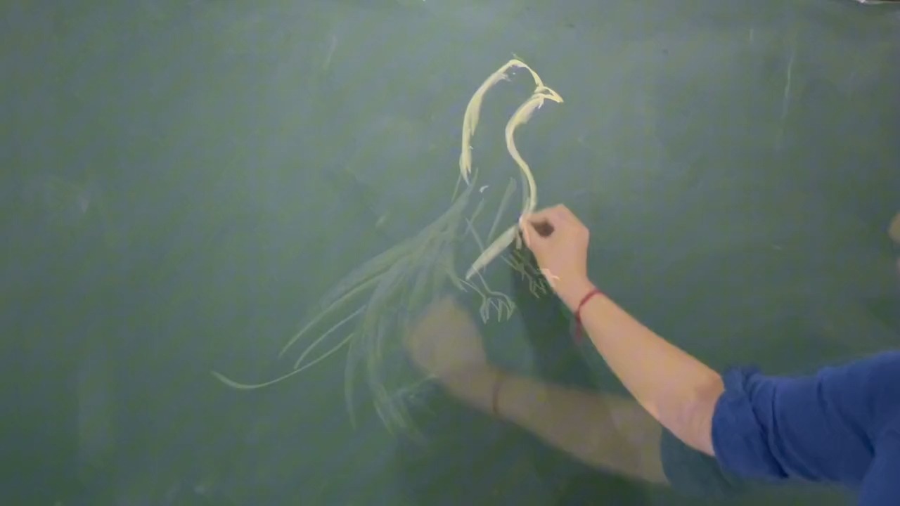 粉笔画黑板报可以有多绝黑板画凤凰