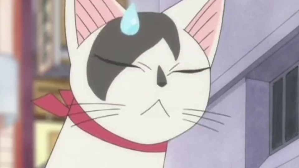 一口气看完《甜甜私房猫》