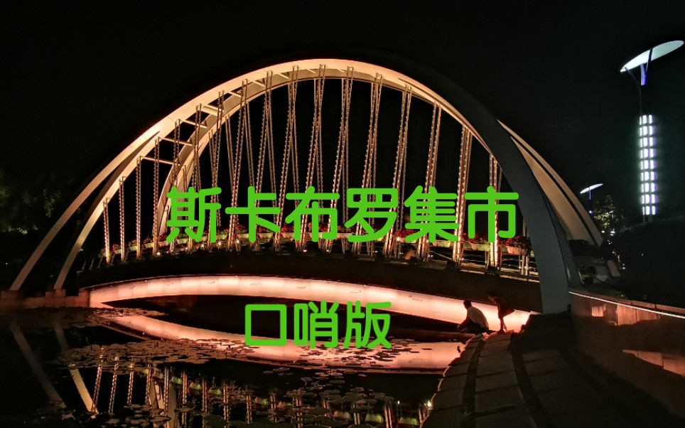 [图]纯音乐，口哨版的经典名曲《斯卡布罗集市》，空灵悠远，令人陶醉