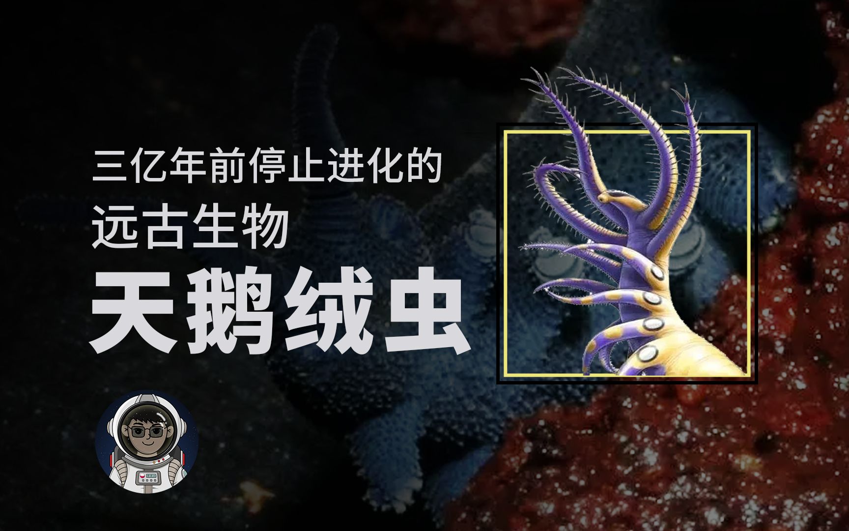 [图]三亿年前就停止进化的远古生物，天鹅绒虫到底有多可怕？