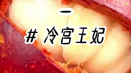 冷宫王妃哔哩哔哩bilibili