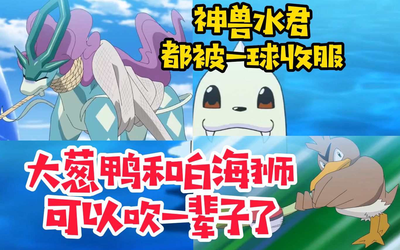 小豪收服神兽水君,大葱鸭和白海狮够吹一辈子了!_哔哩哔哩_bilibili