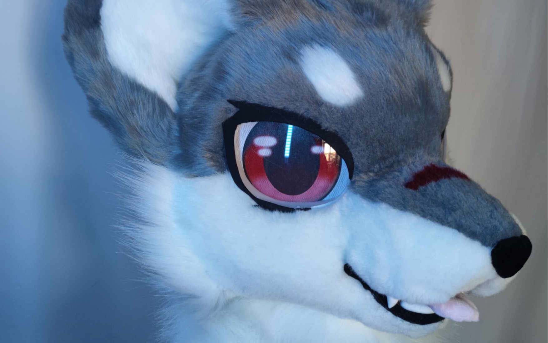 【兽装开箱-兽头】头头终于到啦!