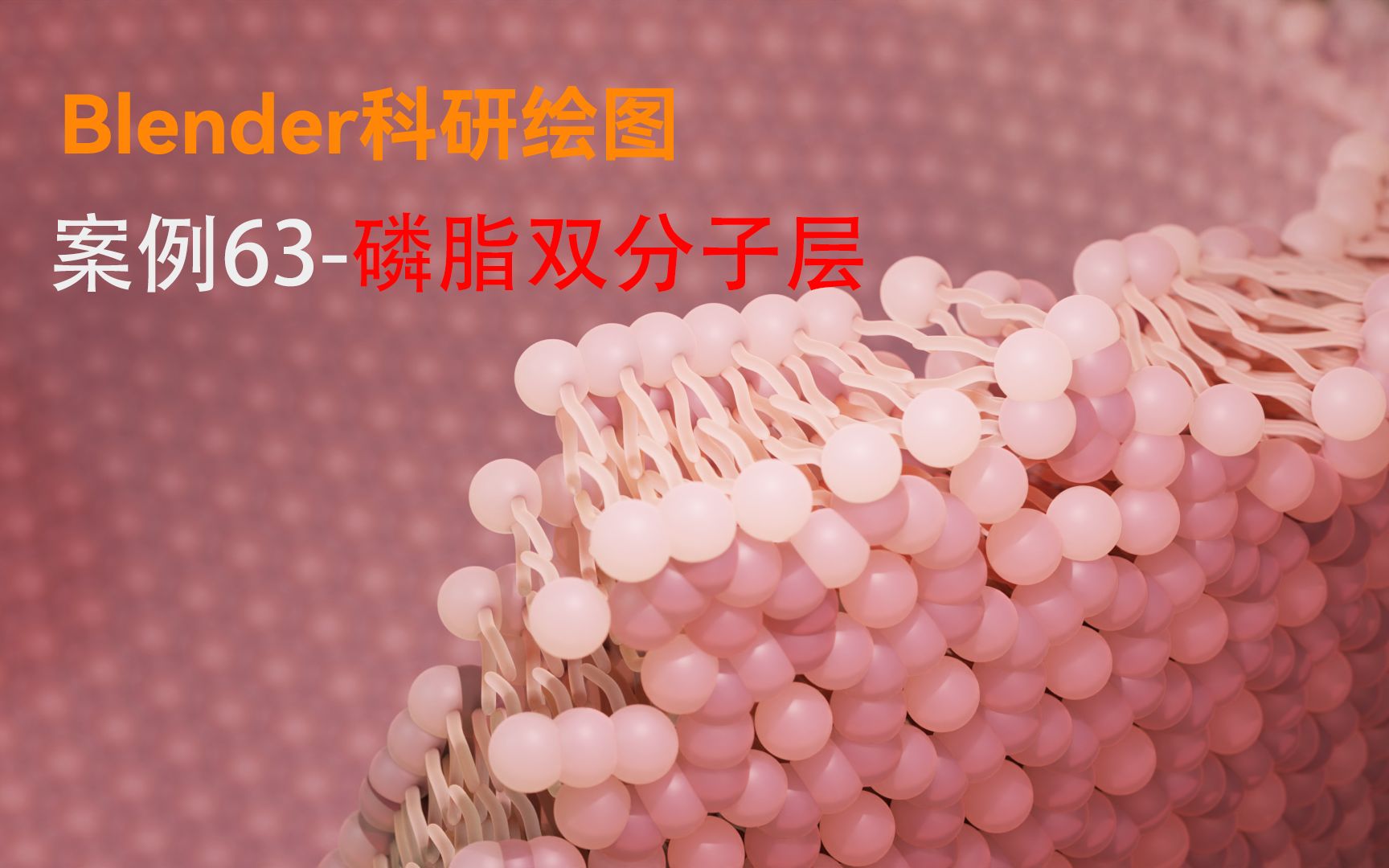 【Blender科研绘图】案例63磷脂双分子层哔哩哔哩bilibili