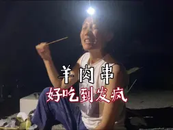 Download Video: 实名羡慕每一个宁夏人！！！这口羊肉串人生第一名！！！！