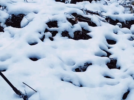 人头山 西安雪景 陕西哔哩哔哩bilibili