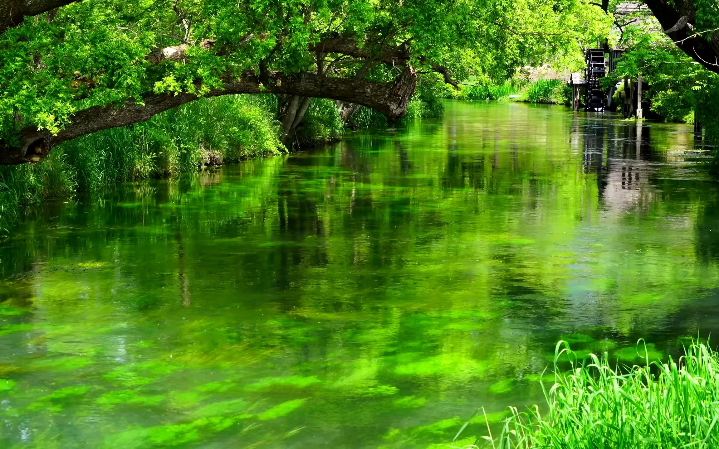 青山绿水,溪流潺潺91治愈系美景,静心冥想,助眠08【 3小时】