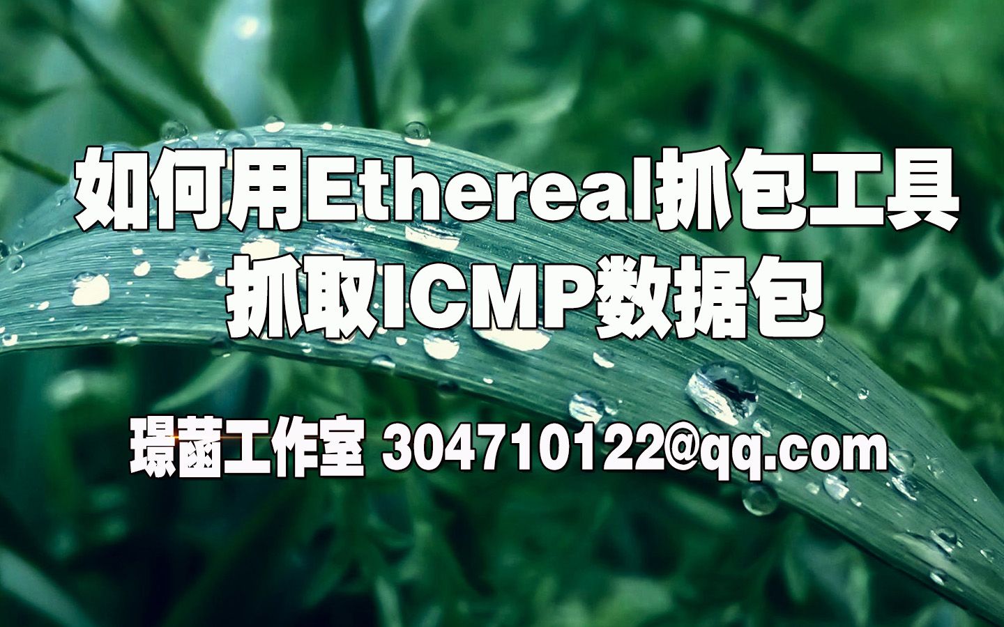 如何使用ethereal抓包工具抓取ICMP数据包