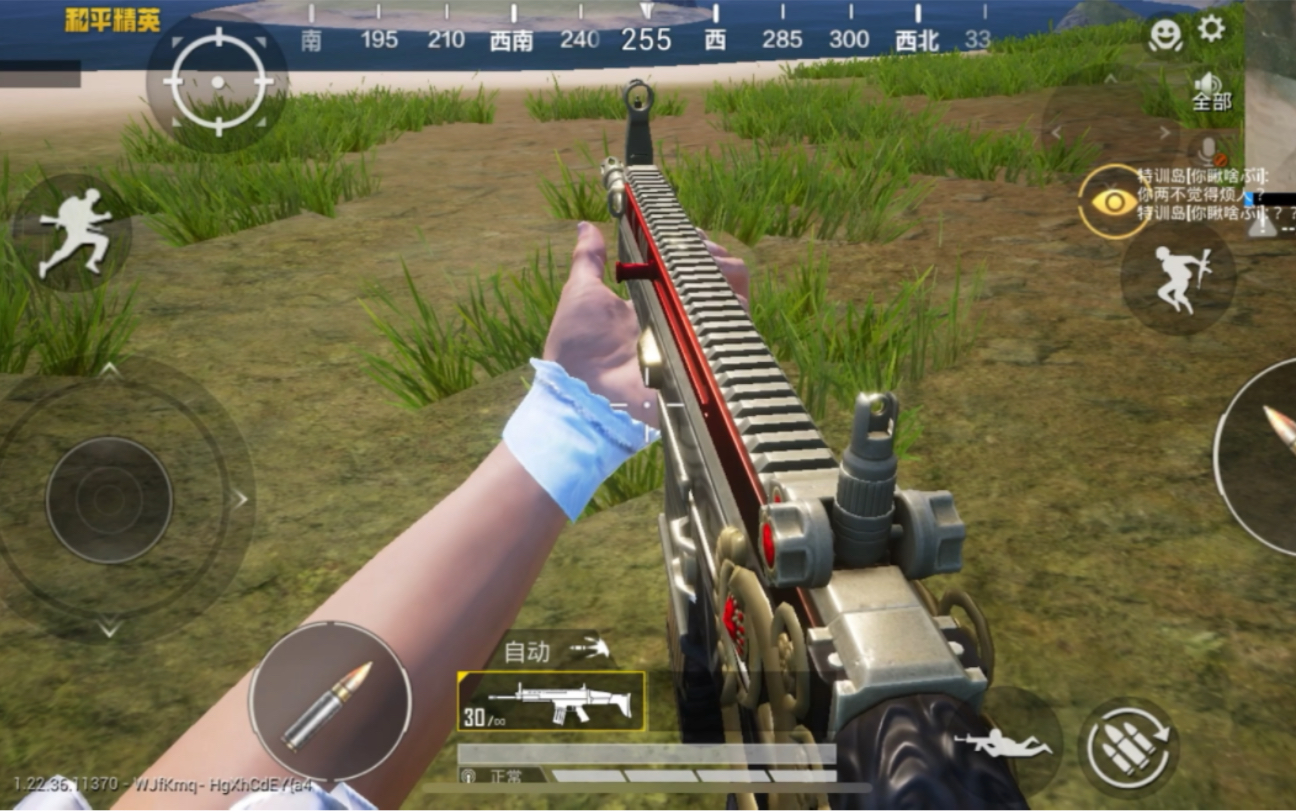 和平精英 scar-l 扶摇飞仙 突击步枪 皮肤