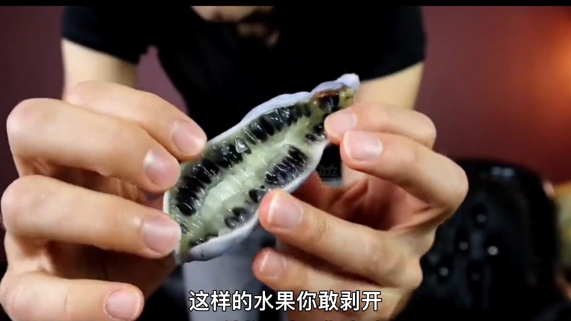 196 最奇葩的水果,蓝色小香果.#那些你不认识的水果 #科普知识