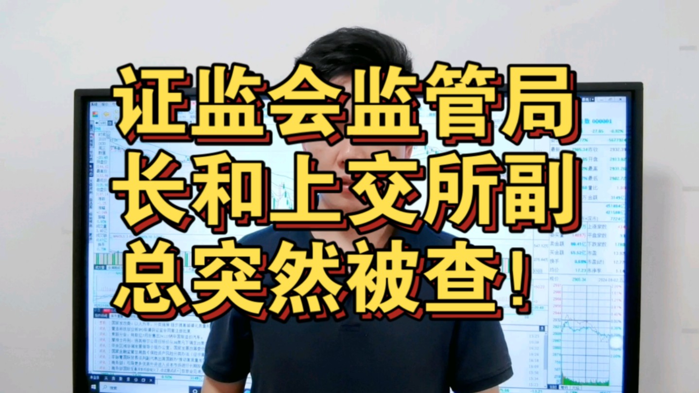 证监会监管局局长和上交所副总突然被查!老板们慌了!释放了什么重要信号?哔哩哔哩bilibili