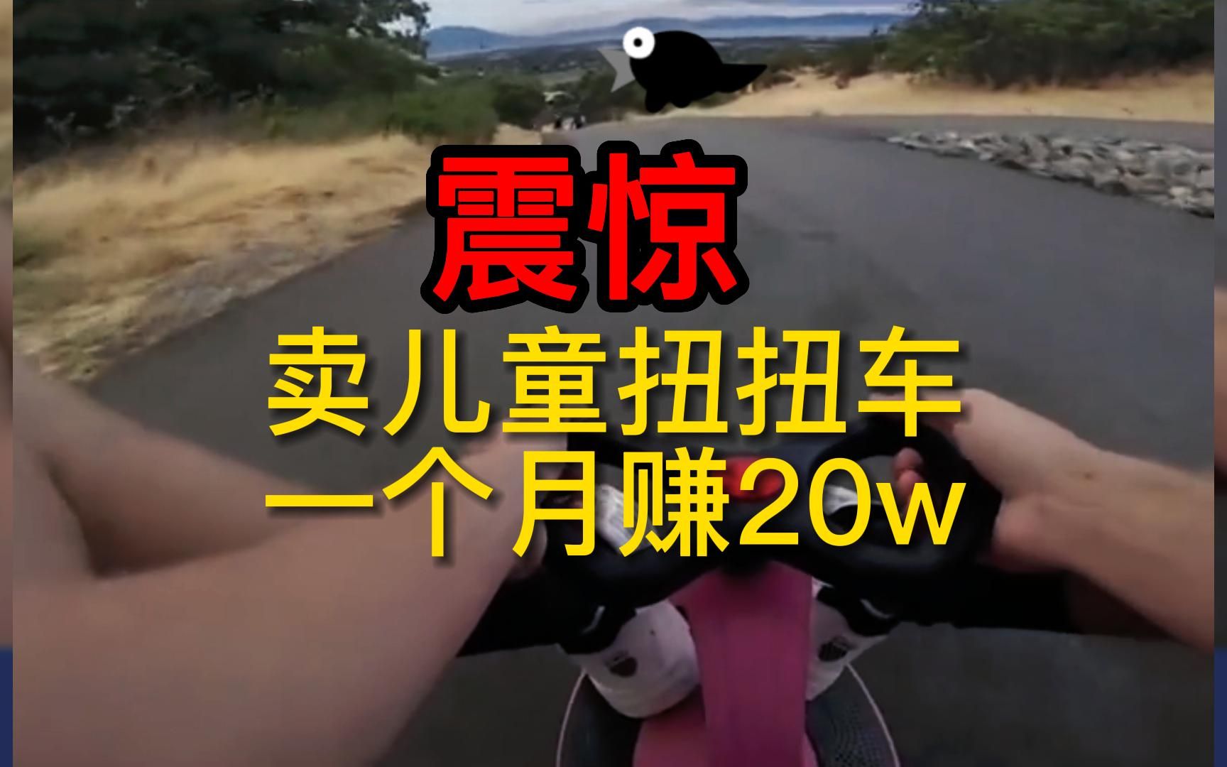 震惊 靠卖儿童扭扭车一个月狂赚20W哔哩哔哩bilibili