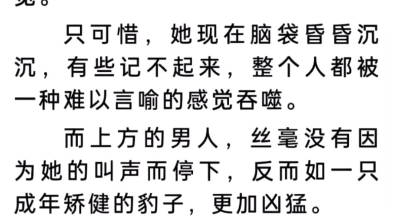 《洛染傅今安小说》《带球跑!冷面指挥使大人宠我没下限》洛染傅今安.txt下载最新章节哔哩哔哩bilibili