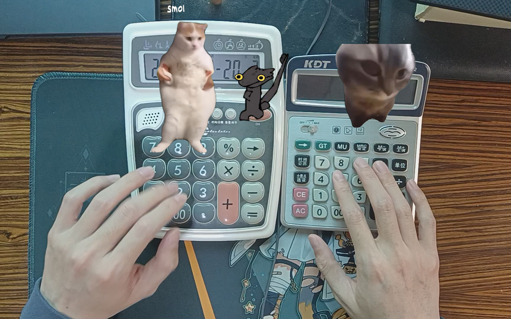 【计算器弹meme曲!】跳舞猫 chipi猫 无牙仔