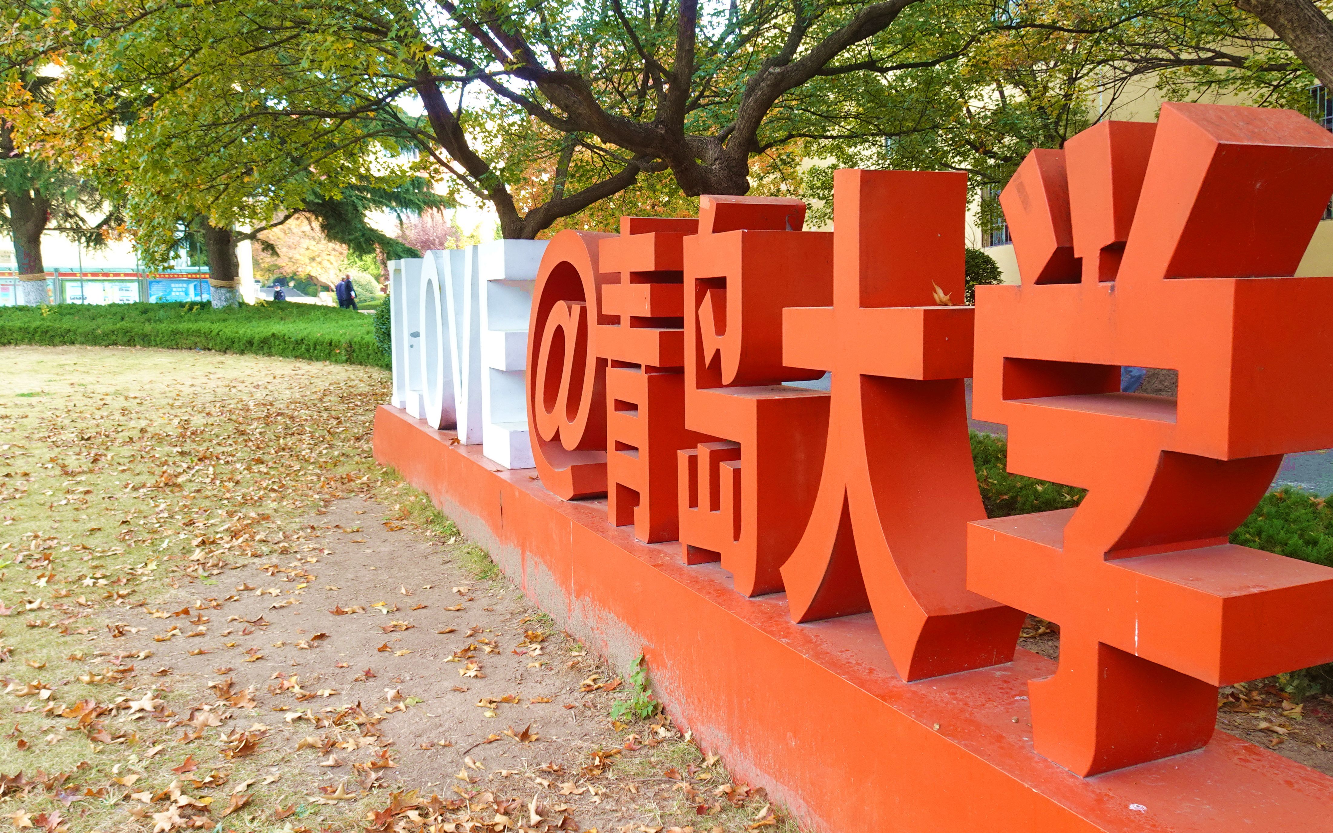 青大印象:青岛大学2022年11月11日秋天的青大校园