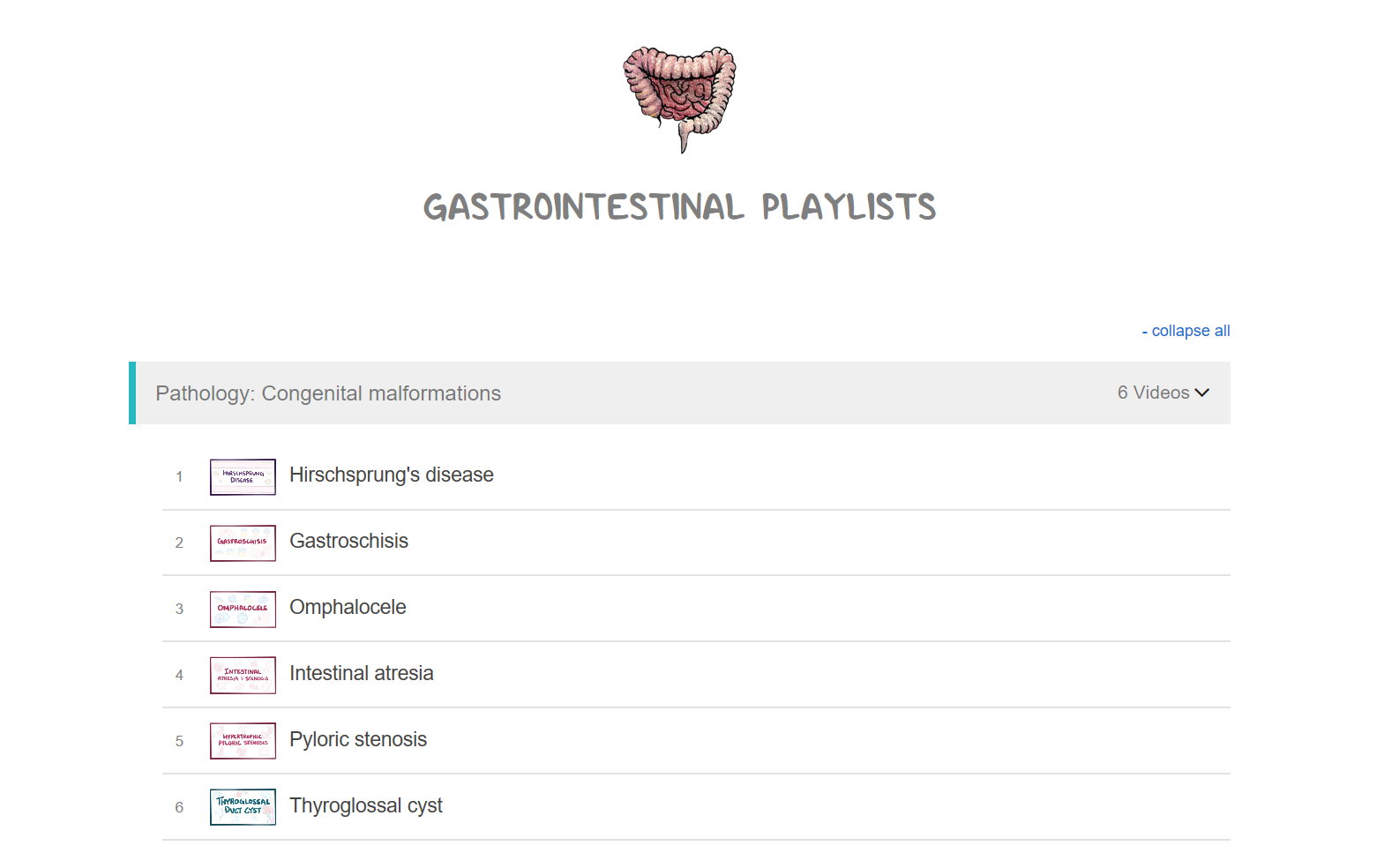 Gastrointestinal Pathology and Physiology哔哩哔哩bilibili