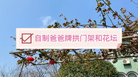 Diy花坛如何搭建 看我海石乐高石的厉害 哔哩哔哩 Bilibili Diy花坛如何搭建 看我海石乐高石的厉害 哔哩哔哩 Bilibili