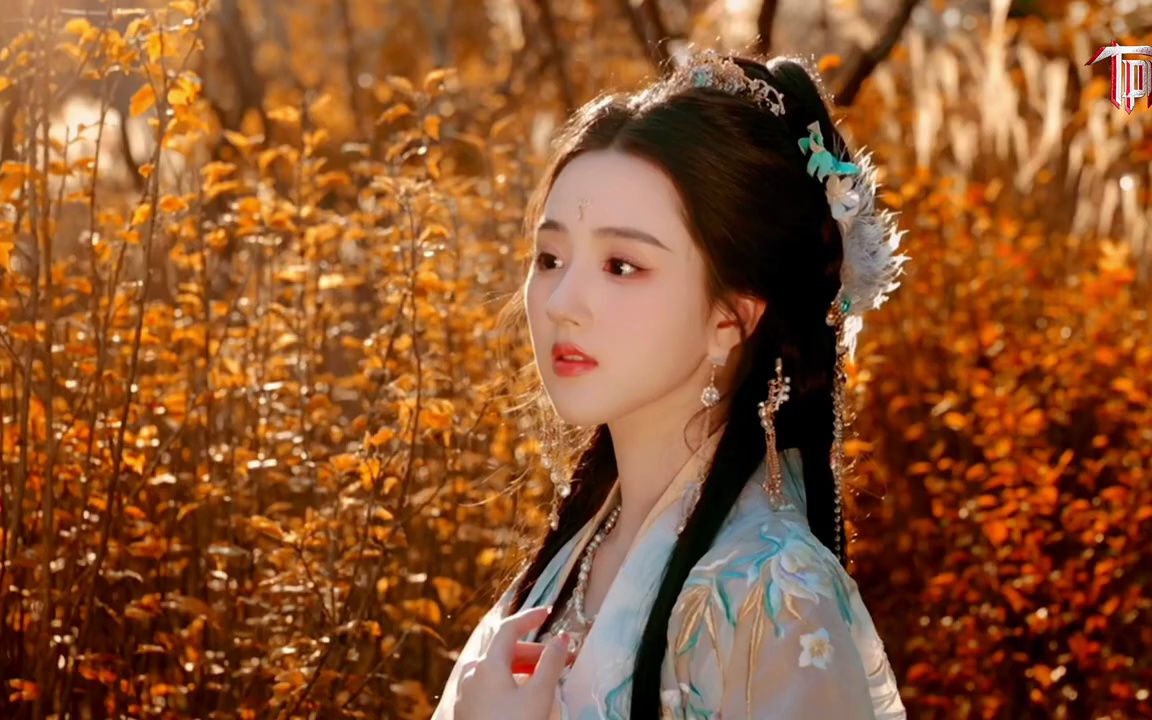 黄静美 -下个渡口等你 dj