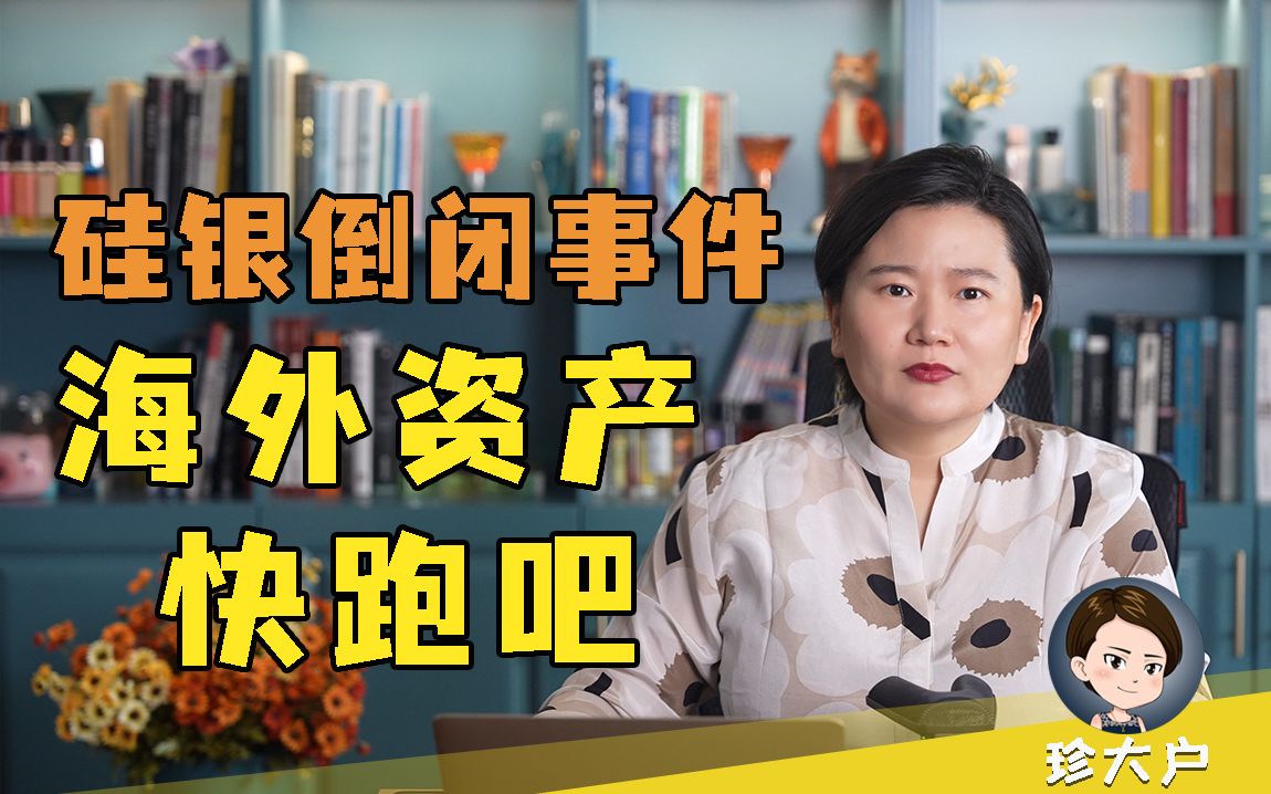 还持有海外美元资产的朋友们,赶快跑吧,留给你们的时间已经不多了.哔哩哔哩bilibili