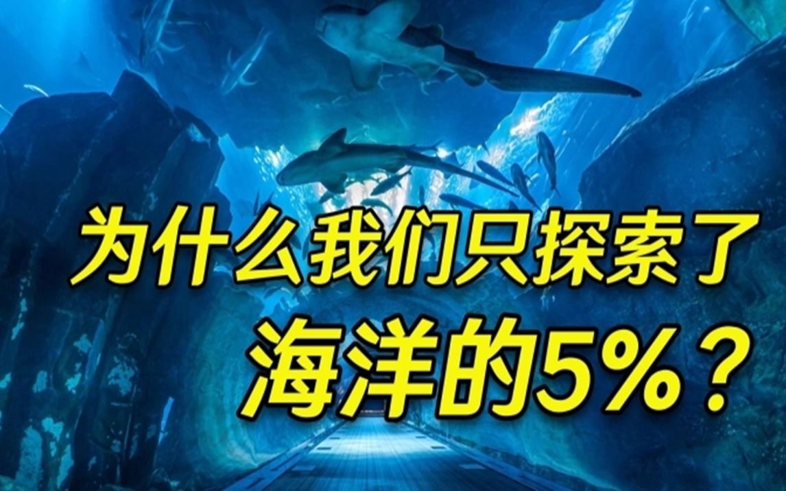 [图]人类为何只探索了5%的海洋？人类在深海中，都发现了什么？