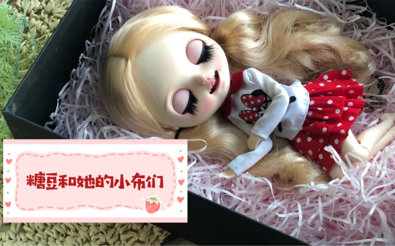 小开心小布blythe开箱甜软治愈娃娃壮士年年