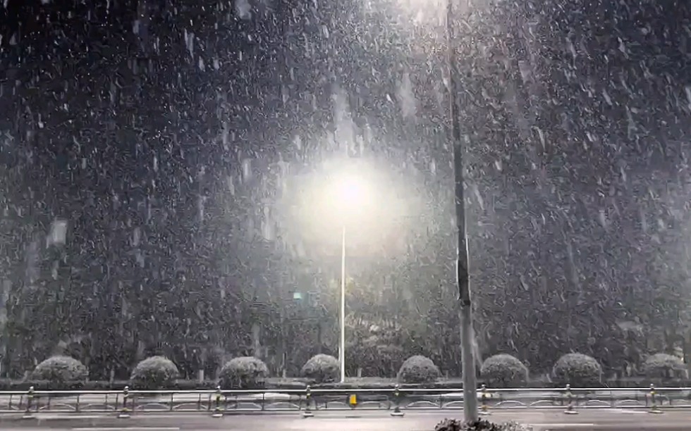 两处相思同淋雪,此生也算共白头