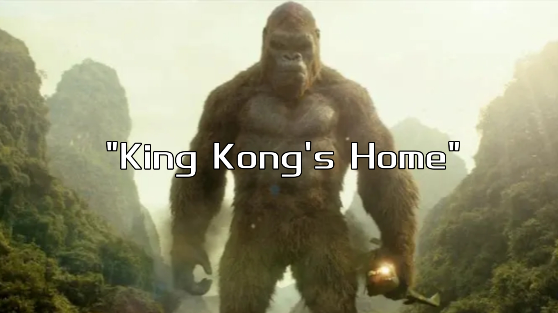 King Kong's Home哔哩哔哩bilibili